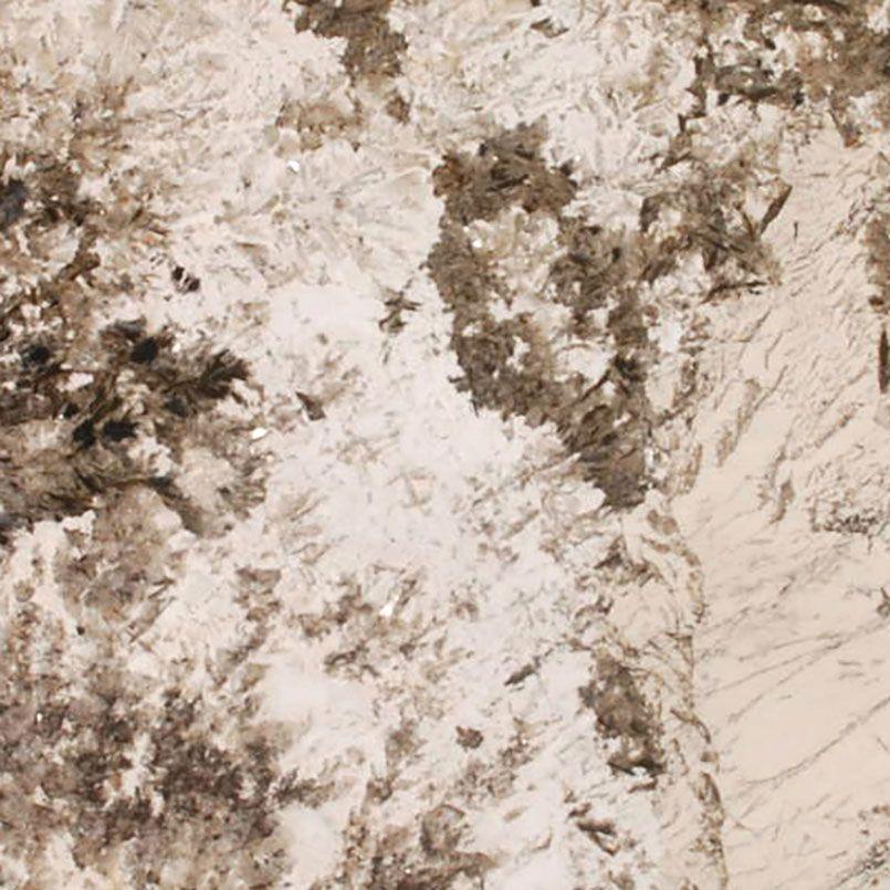 Alpine White Granite Countertop Sample